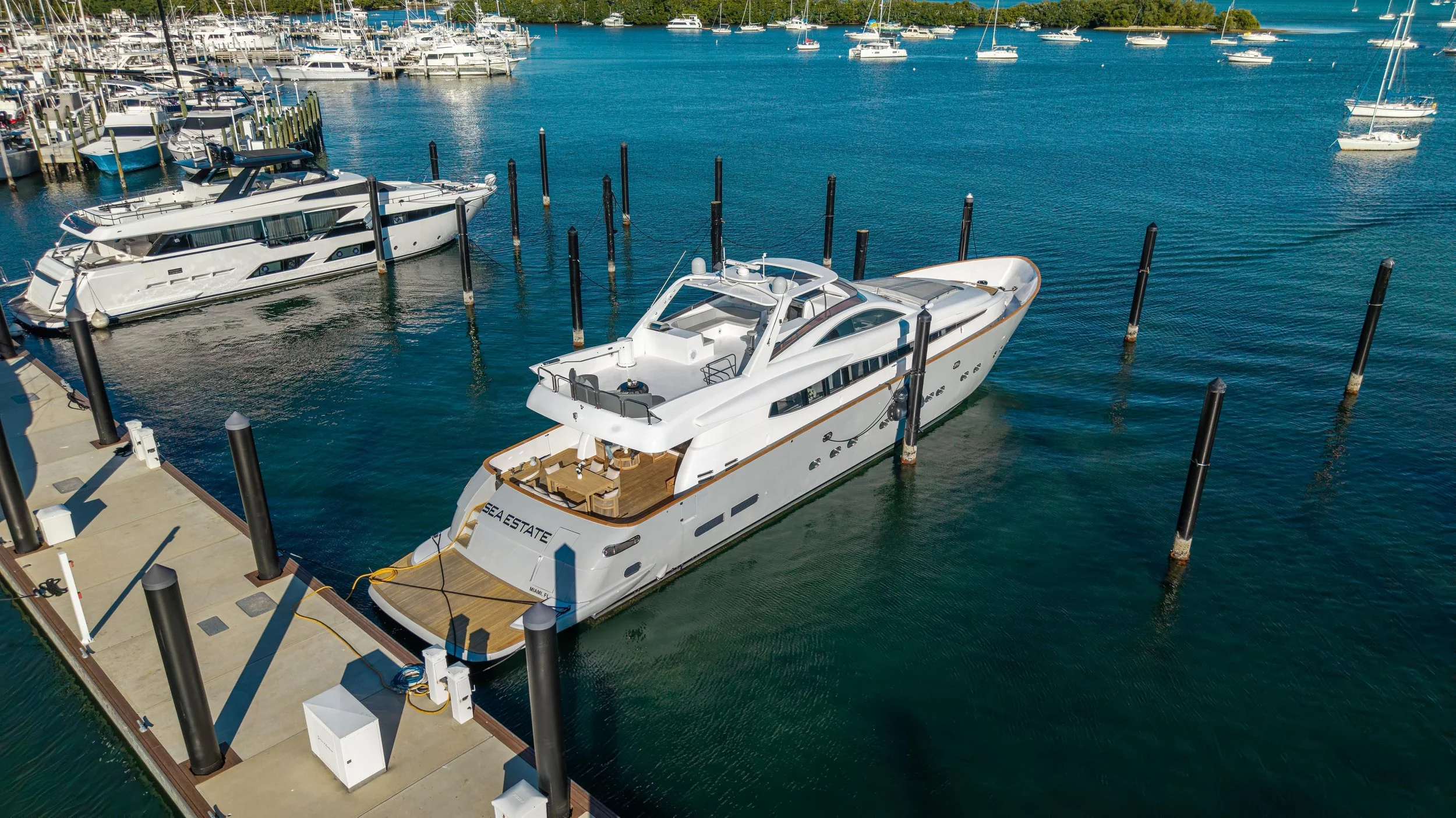 WhatsApp Image 2026-02-05 at 09.34.08 (2).jpeg