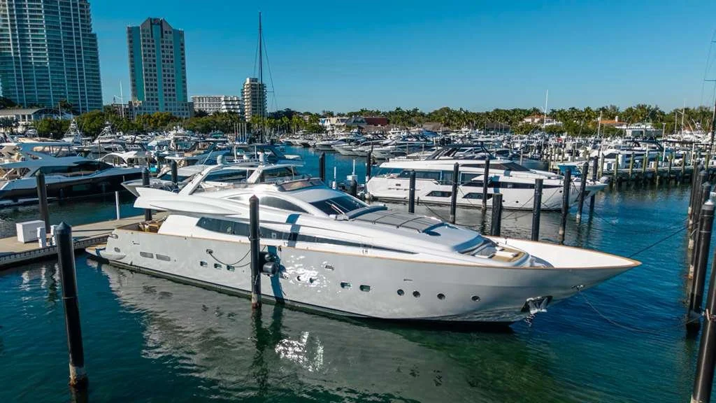 WhatsApp Image 2026-02-05 at 09.34.00.jpeg