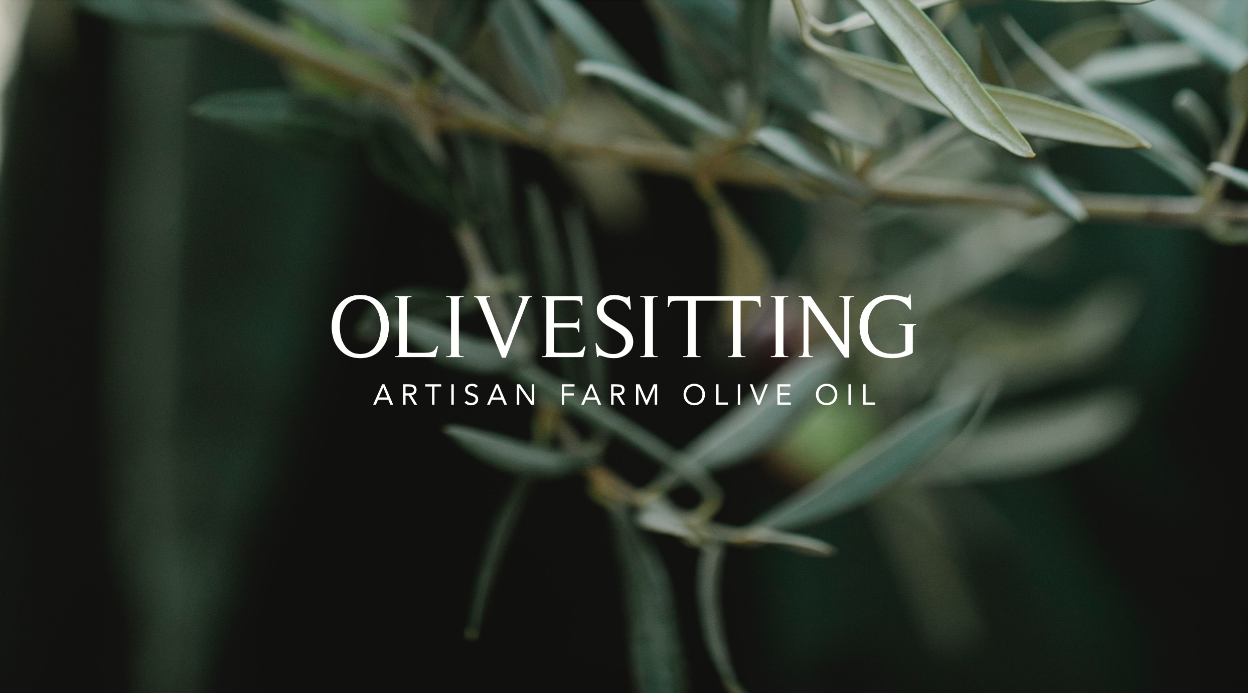 Schermafbeelding 2022-10-23 om 15.15.25.png