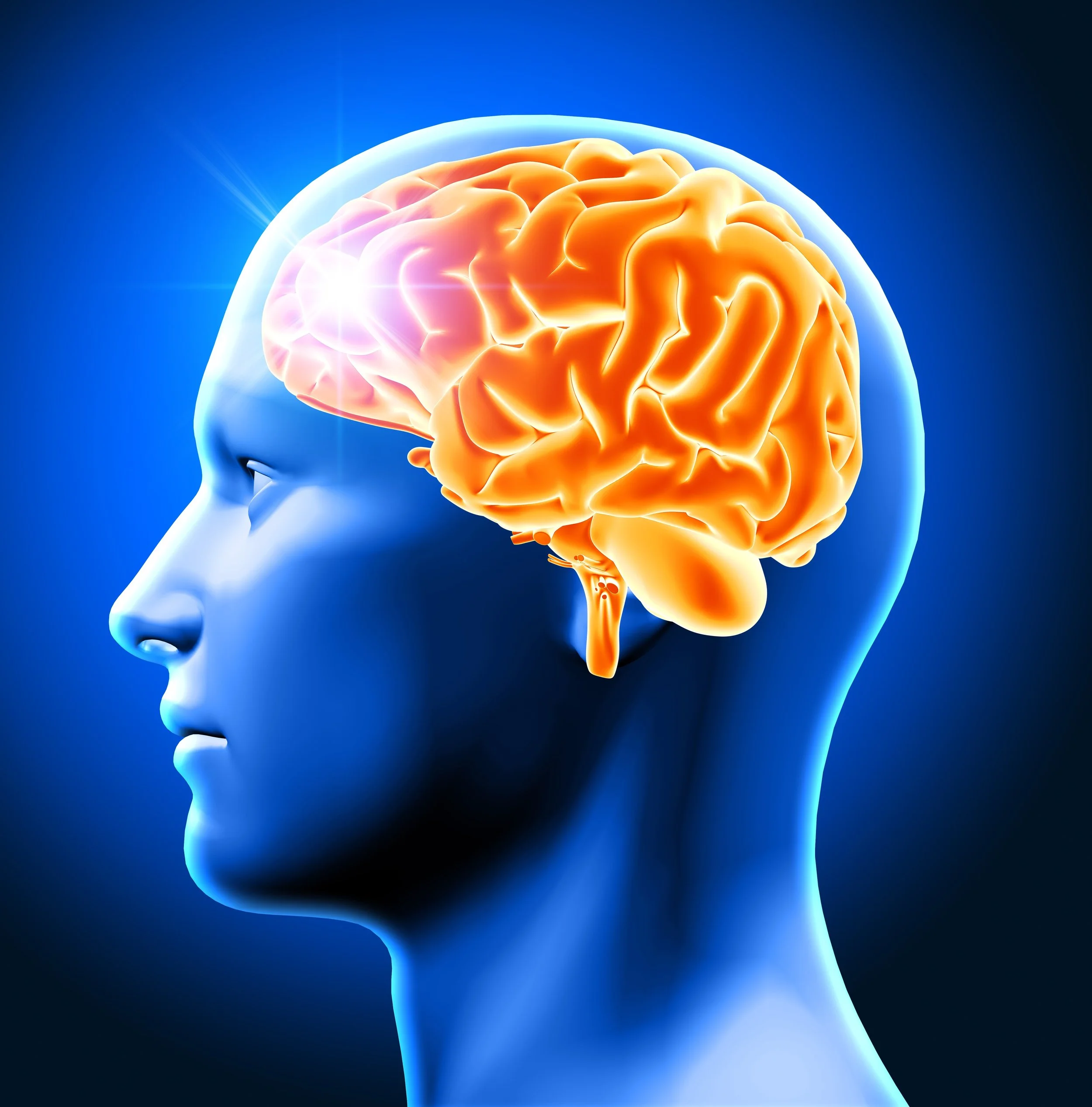 Richmond-based BRAINBox Solutions is redefining concussion care 