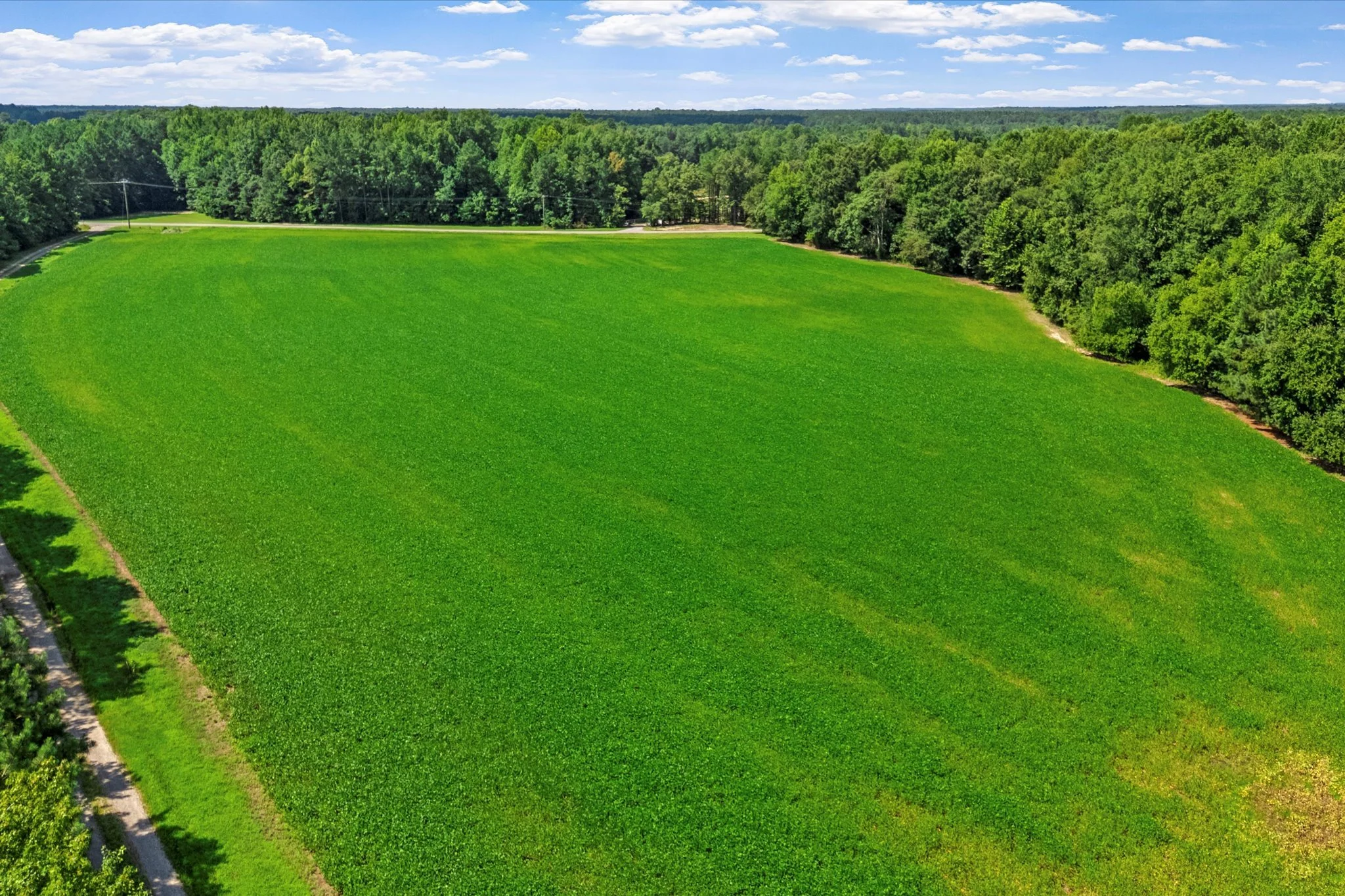 Fort Dushane Subdivision