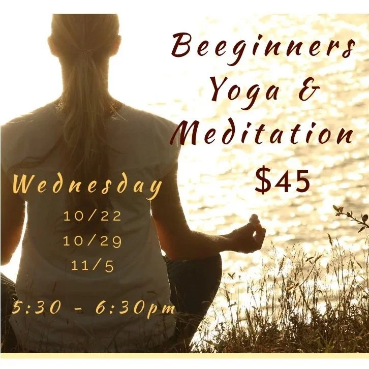 Beginner Yoga series
