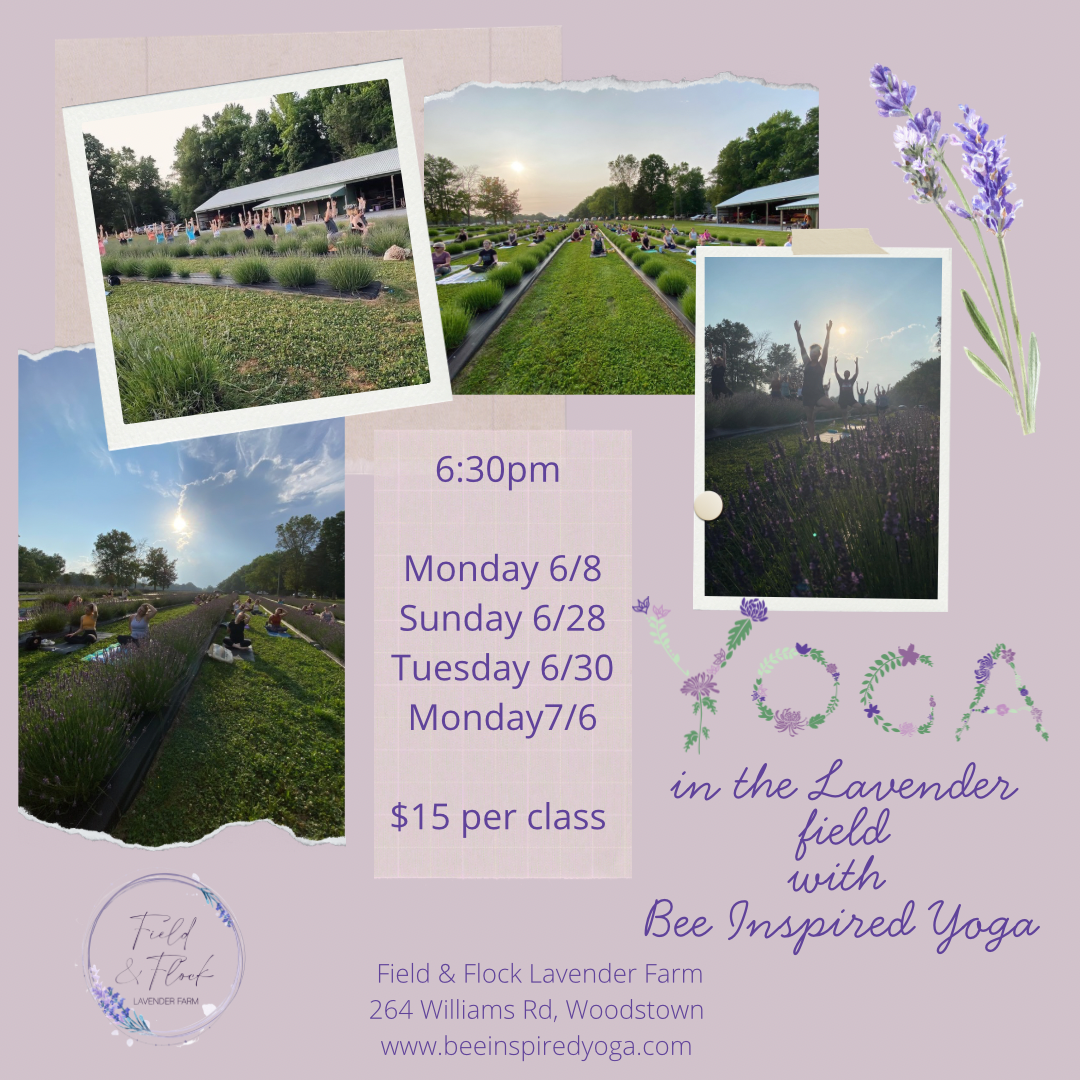 Yoga in the lavender 