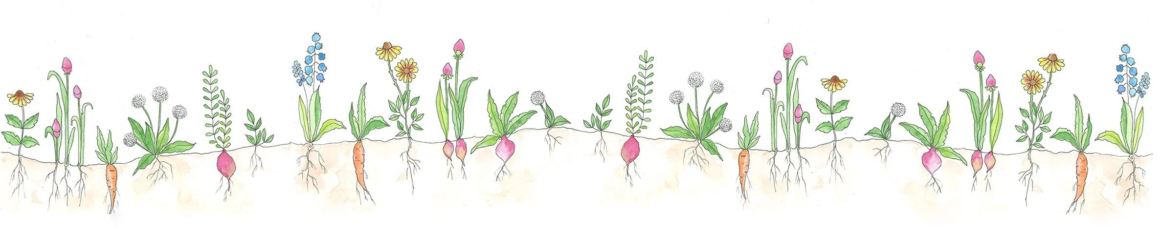 Illustration from Wild Chakra Kids