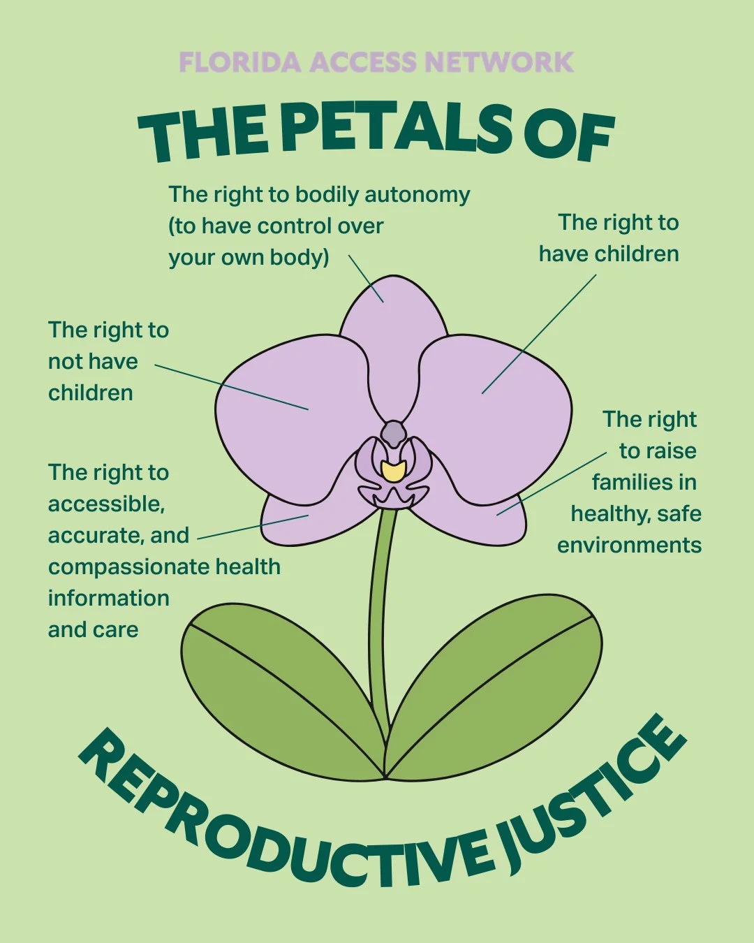 🌷Repro Justice 101 as inspired by botany! 🌷⁠
⁠
If Reproductive Justice were a flower, the anatomy of its petals would be made up of the following elements:⁠
⁠
🧑🏾&zwj;🤝&zwj;🧑🏻The right to bodily autonomy (to have control over your own body)⁠
🧑