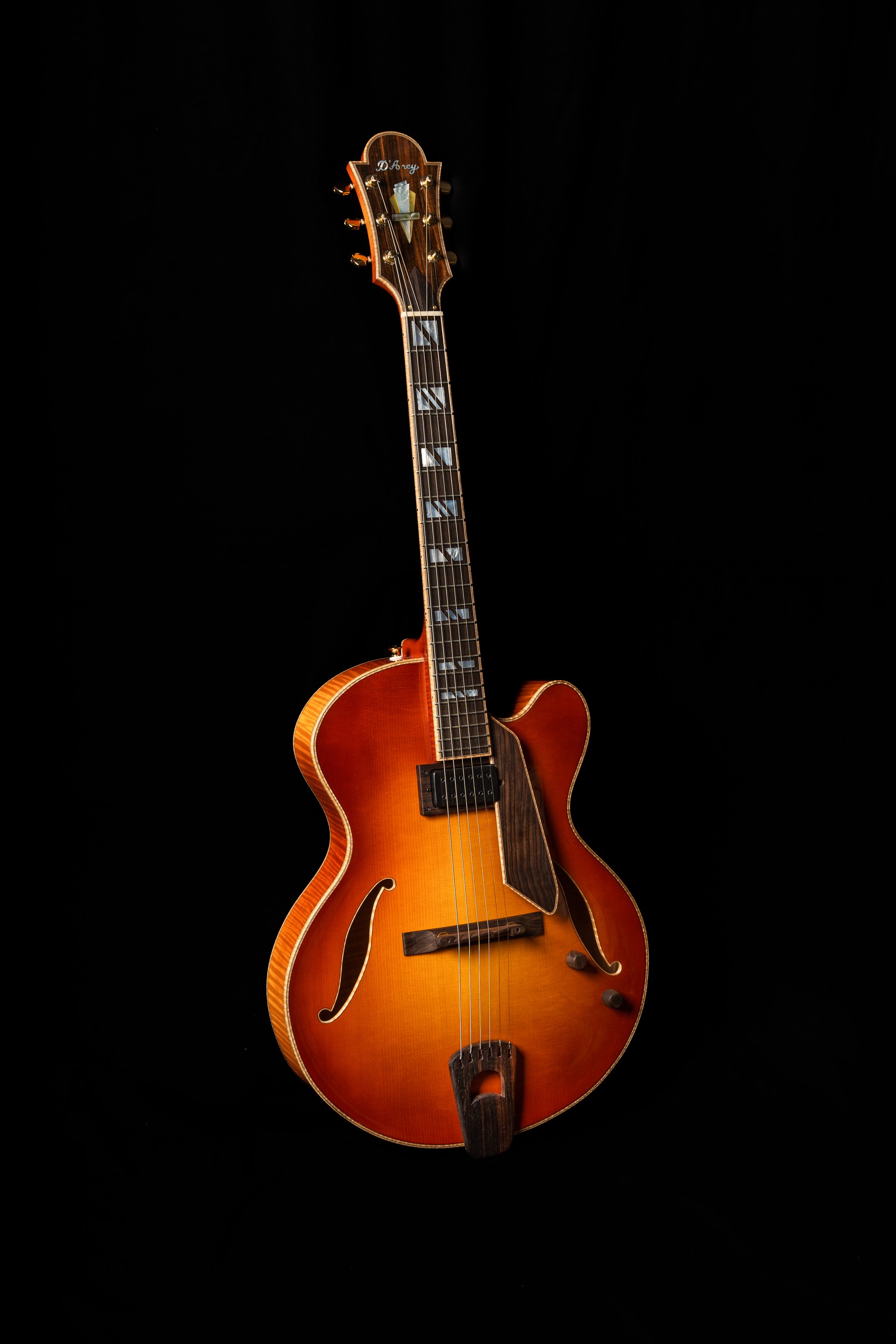 the-guitars-d-arcy-guitars