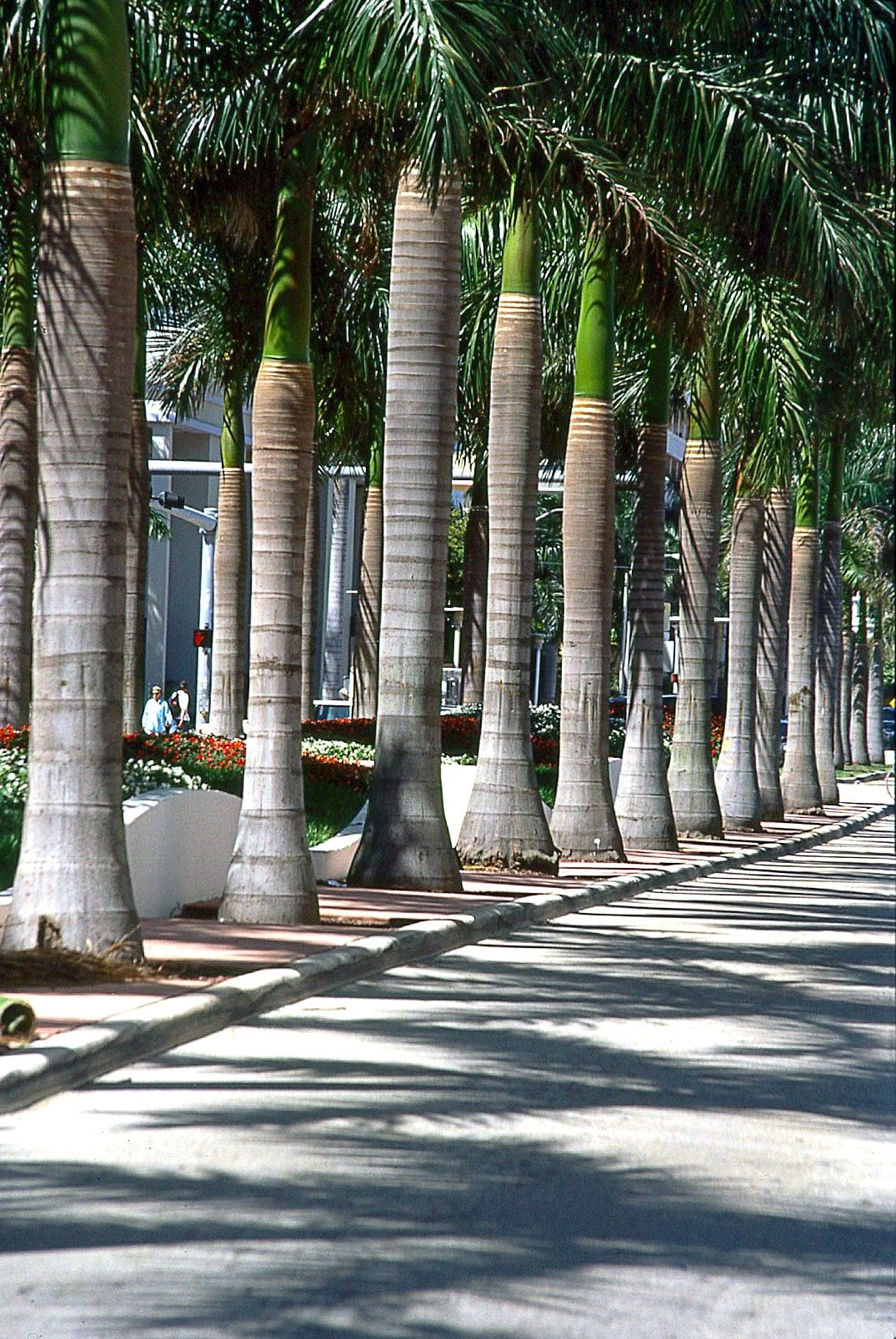 Lincoln-Road-Mall-Miami-FL-MSP-2.jpg