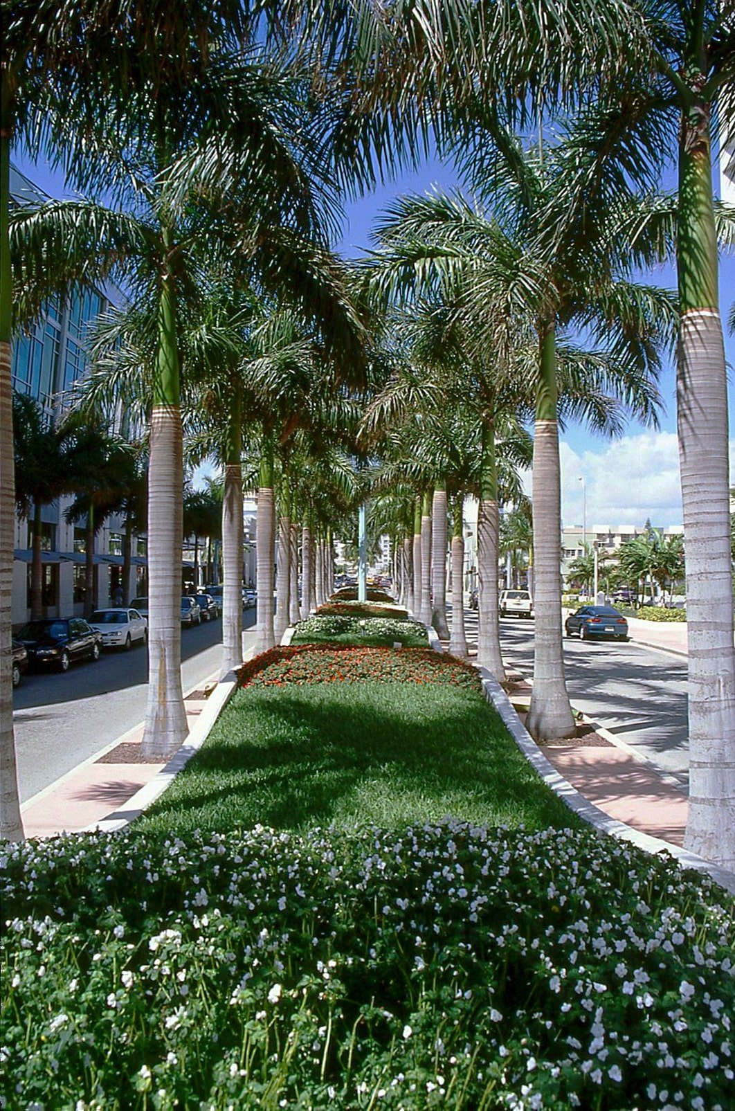 Lincoln-Road-Mall-Miami-FL-MSP-4.jpg
