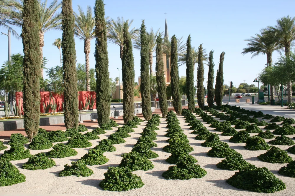 MESA ARTS CENTER visual data 7