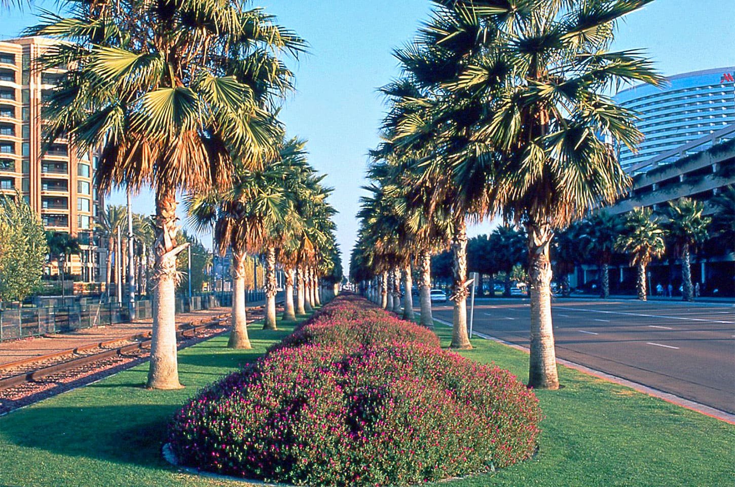 Marina-Linear-Park-San-Diego-California-MSP-4.jpg