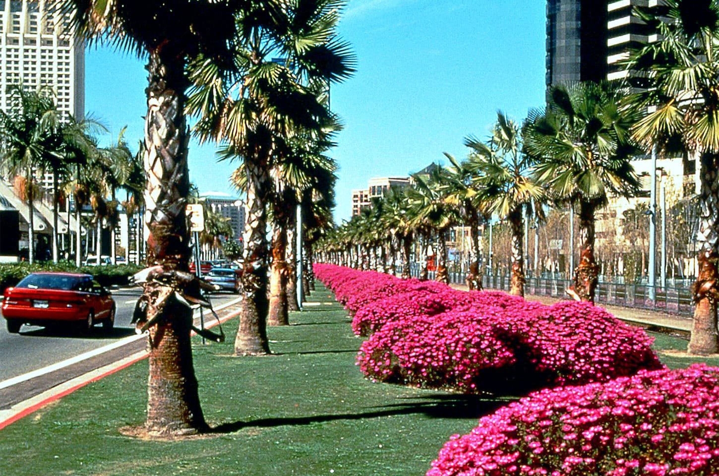 Marina-Linear-Park-San-Diego-California-MSP-5.jpg