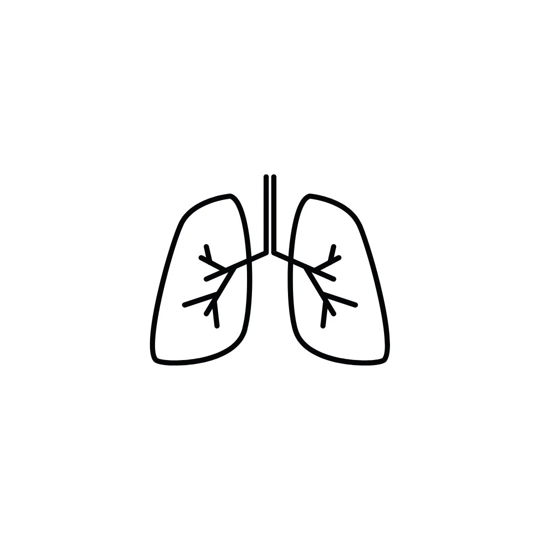 Untitled design-7.jpg