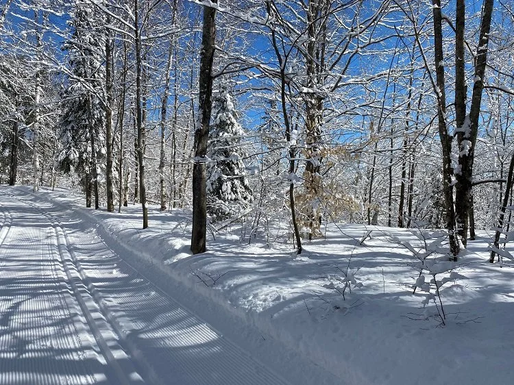 2025 Fall Newsletter