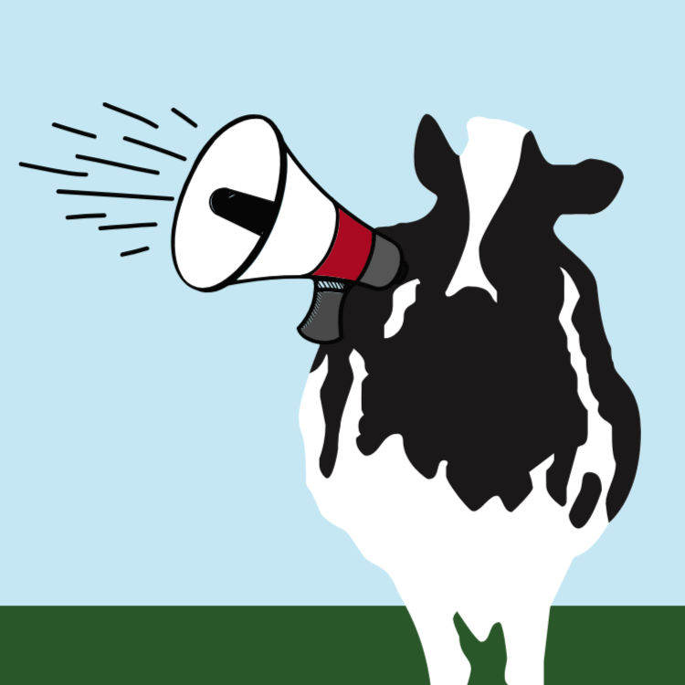 Ben & Jerry's – Ice Cold Nonsense