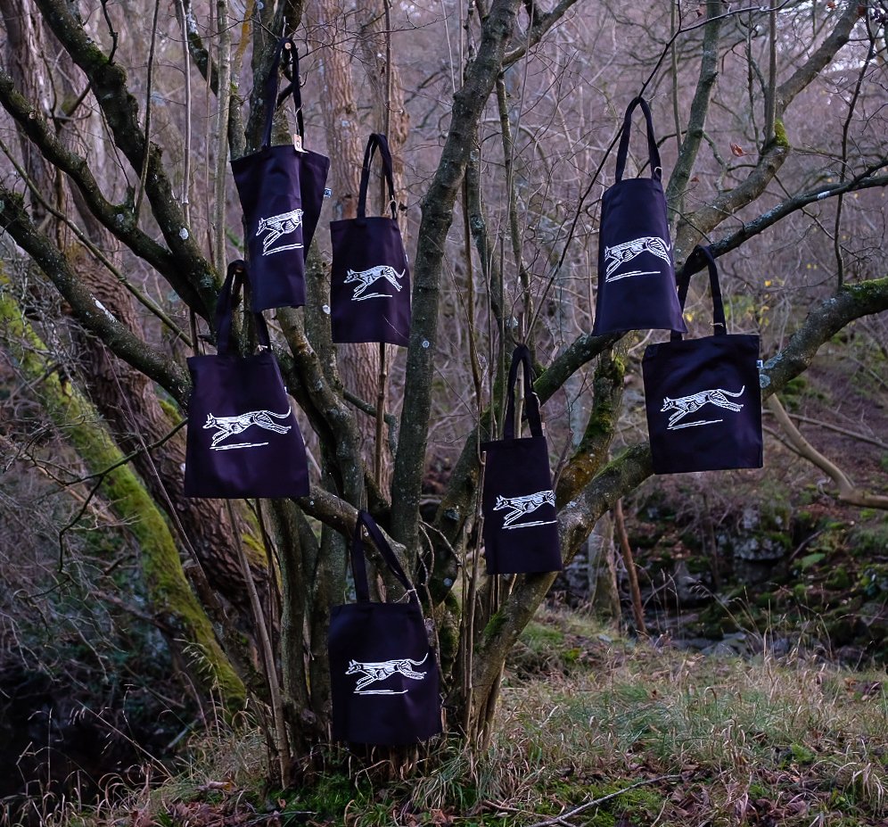 Bag Tree 2-Lightroom.jpg