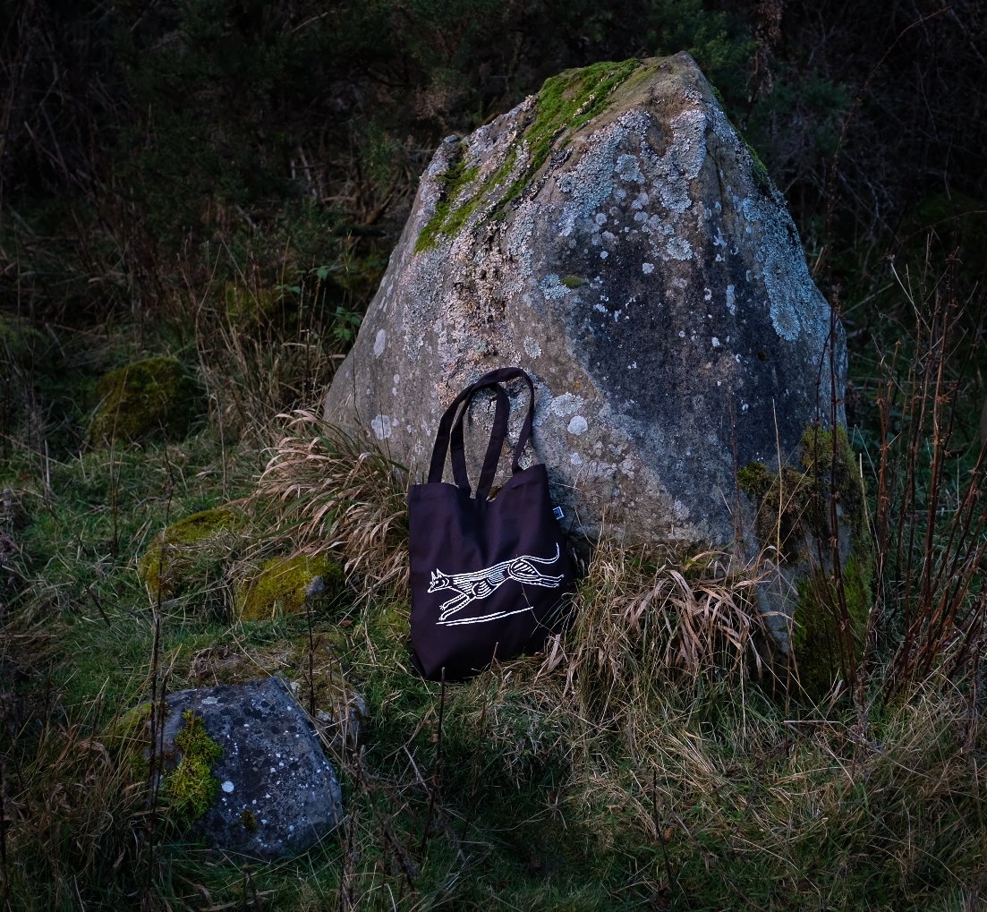 Bag and Rock-Lightroom.jpg