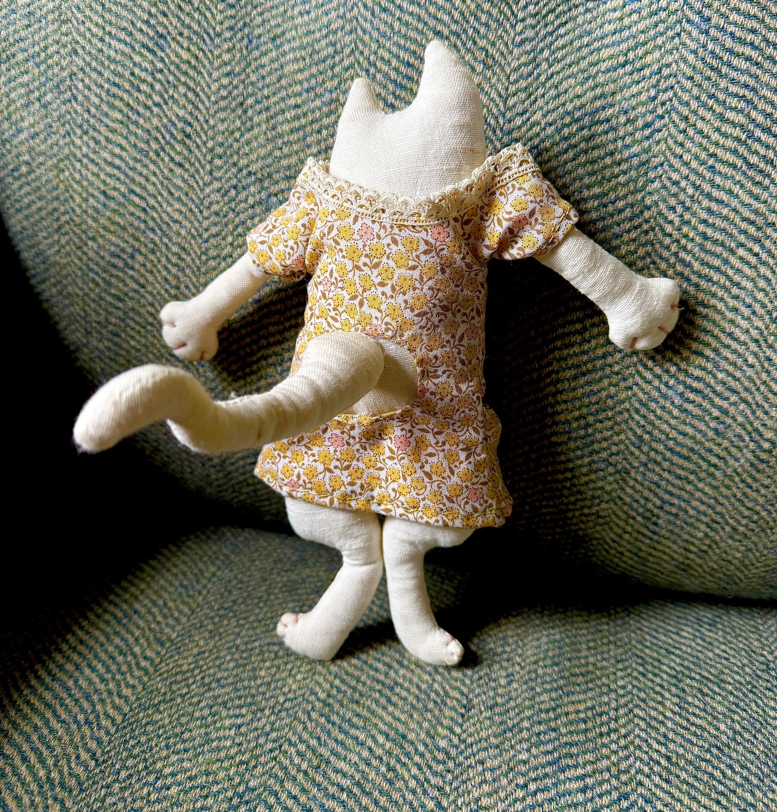 TWW Echo The Cat 7.JPG