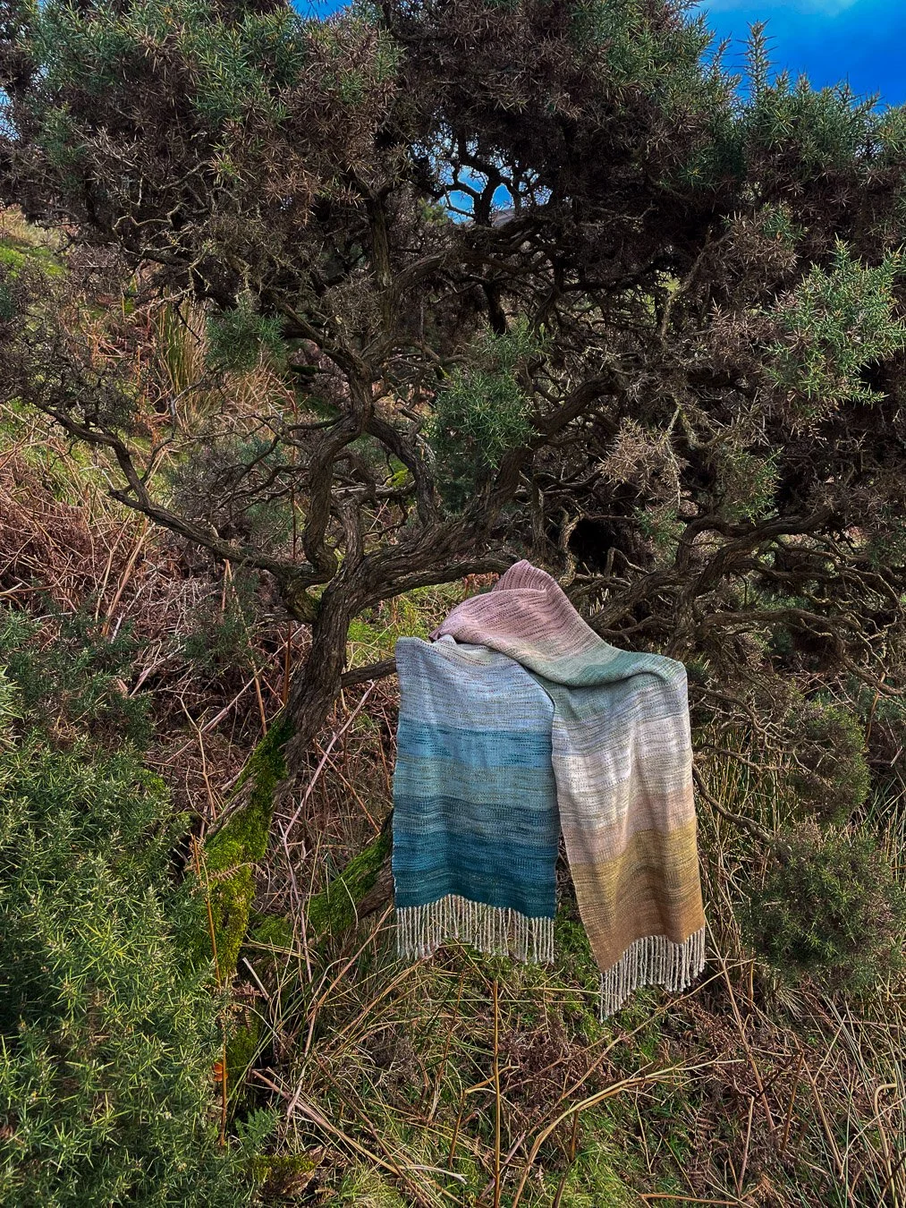 Lightroom-4.jpg