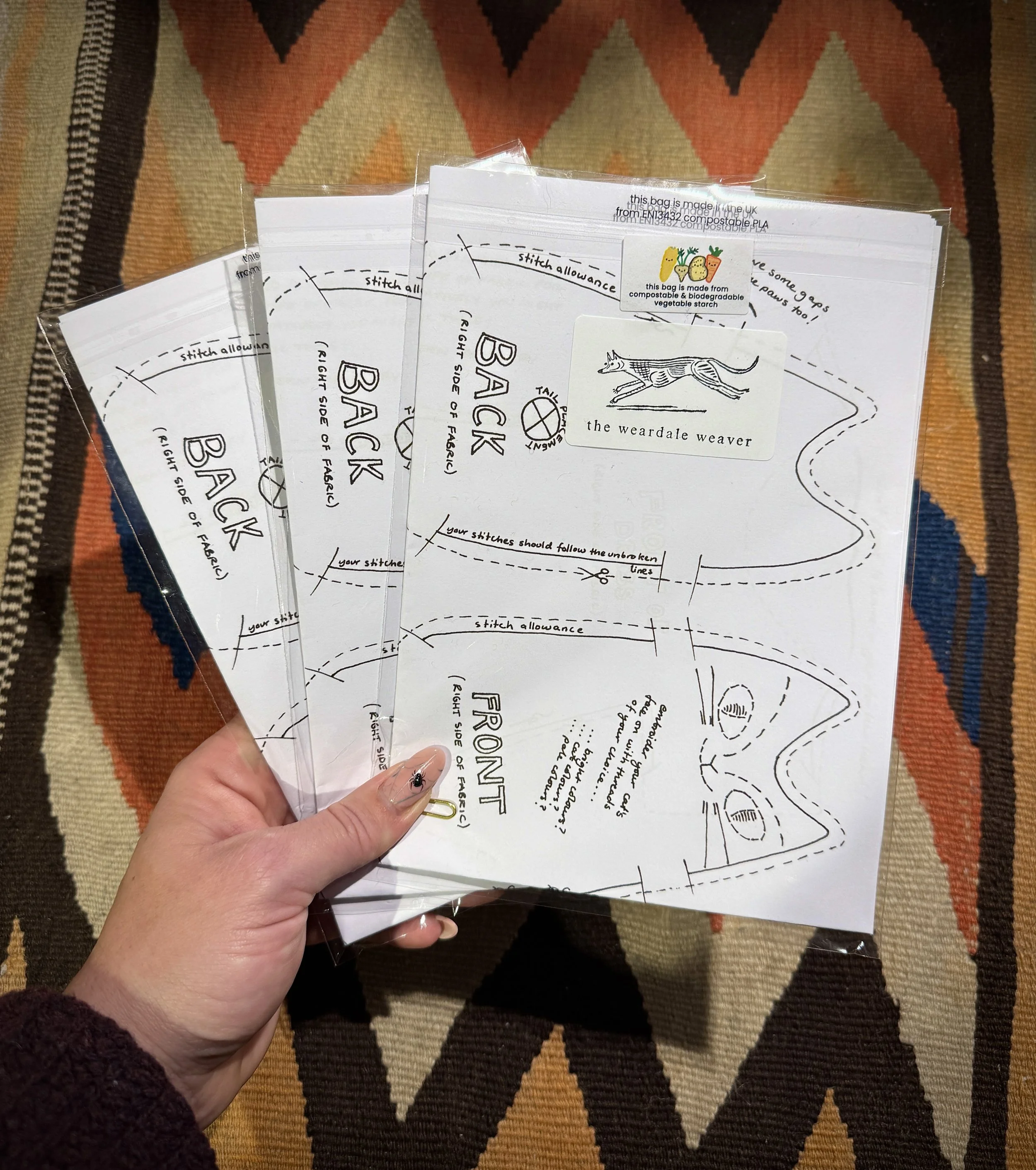 TWW Echo The Cat 4.JPG