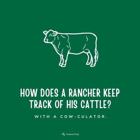 How does a rancher keep track of his cattle?
With a cow-culator.