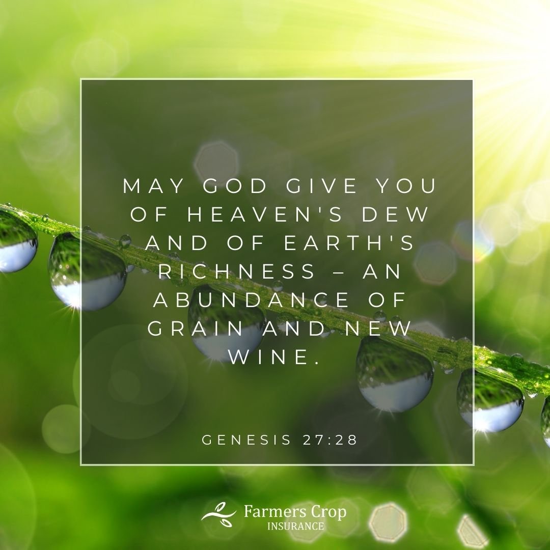May God give you of heaven's dew and of earth's richness &ndash; an abundance of grain and new wine. Genesis 27:28