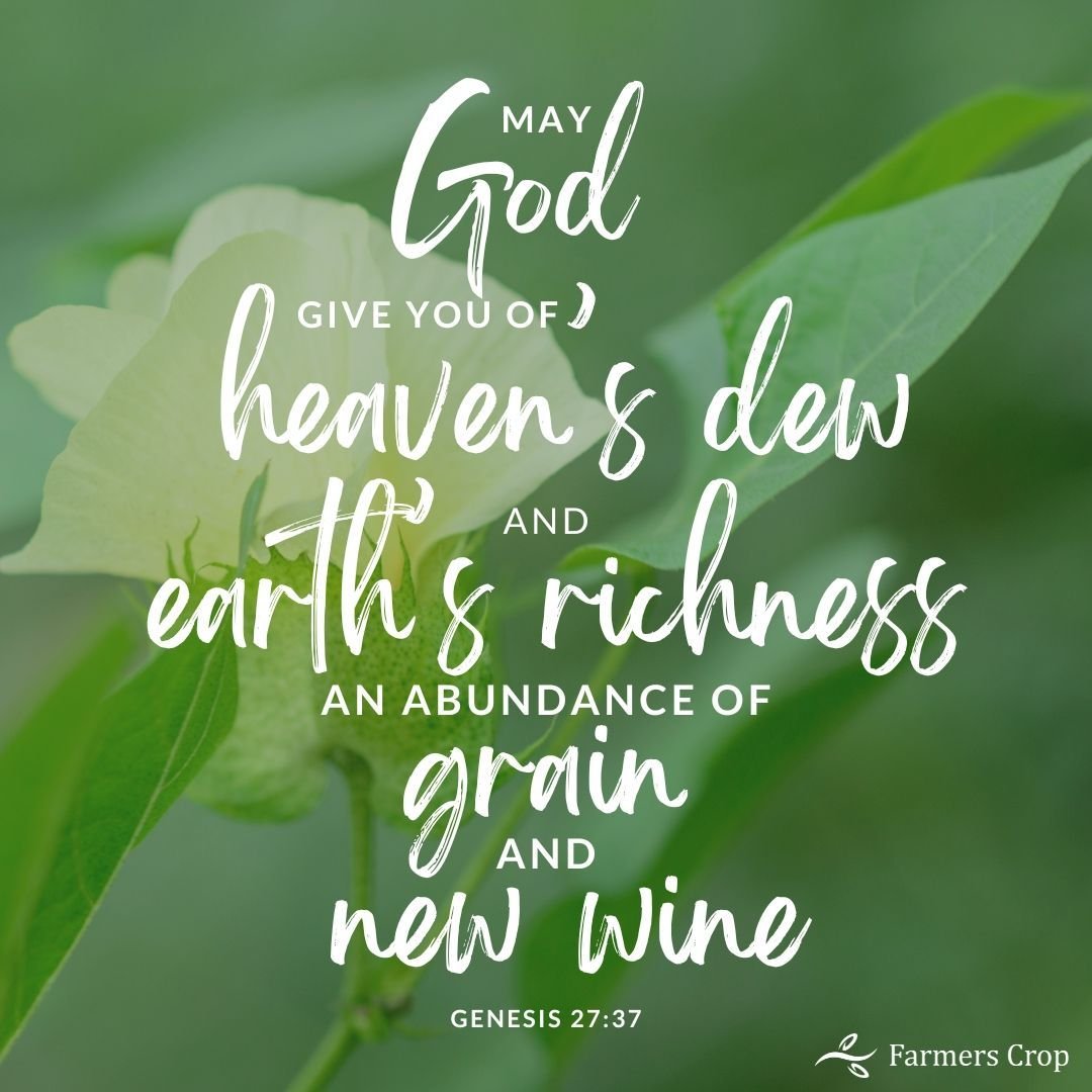 May God give you of heaven&rsquo;s dew and earth&rsquo;s richness &ndash; an abundance of grain and new wine.

Genesis 27:28