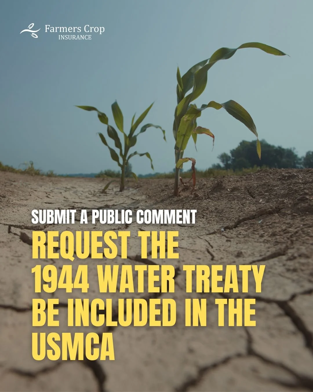 We need your support.

Mexico has ignored the obligations of the 1944 Water Treaty, leaving communities along the Rio Grande at risk. Please take a moment to submit a comment to the U.S. Trade Representative urging President Trump to link the 1944 Wa