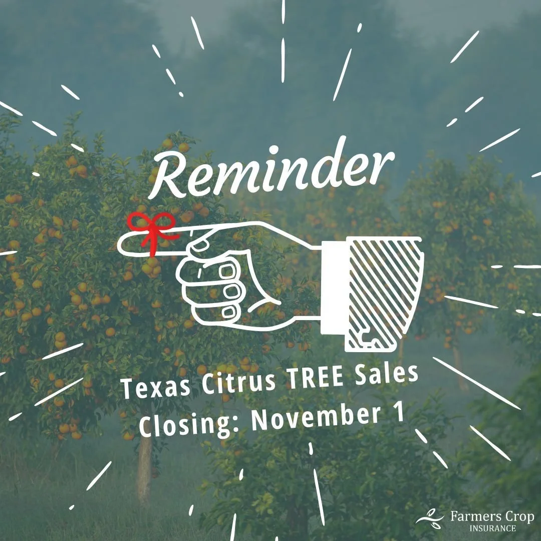 Citrus TREE Sales Closing is quickly approaching. As always, the deadline is November 1st, but seeing as that's a Saturday, we'll officially wrap up elections on Monday, November 3rd. 

But don't wait until then, we're happy to help new and existing 