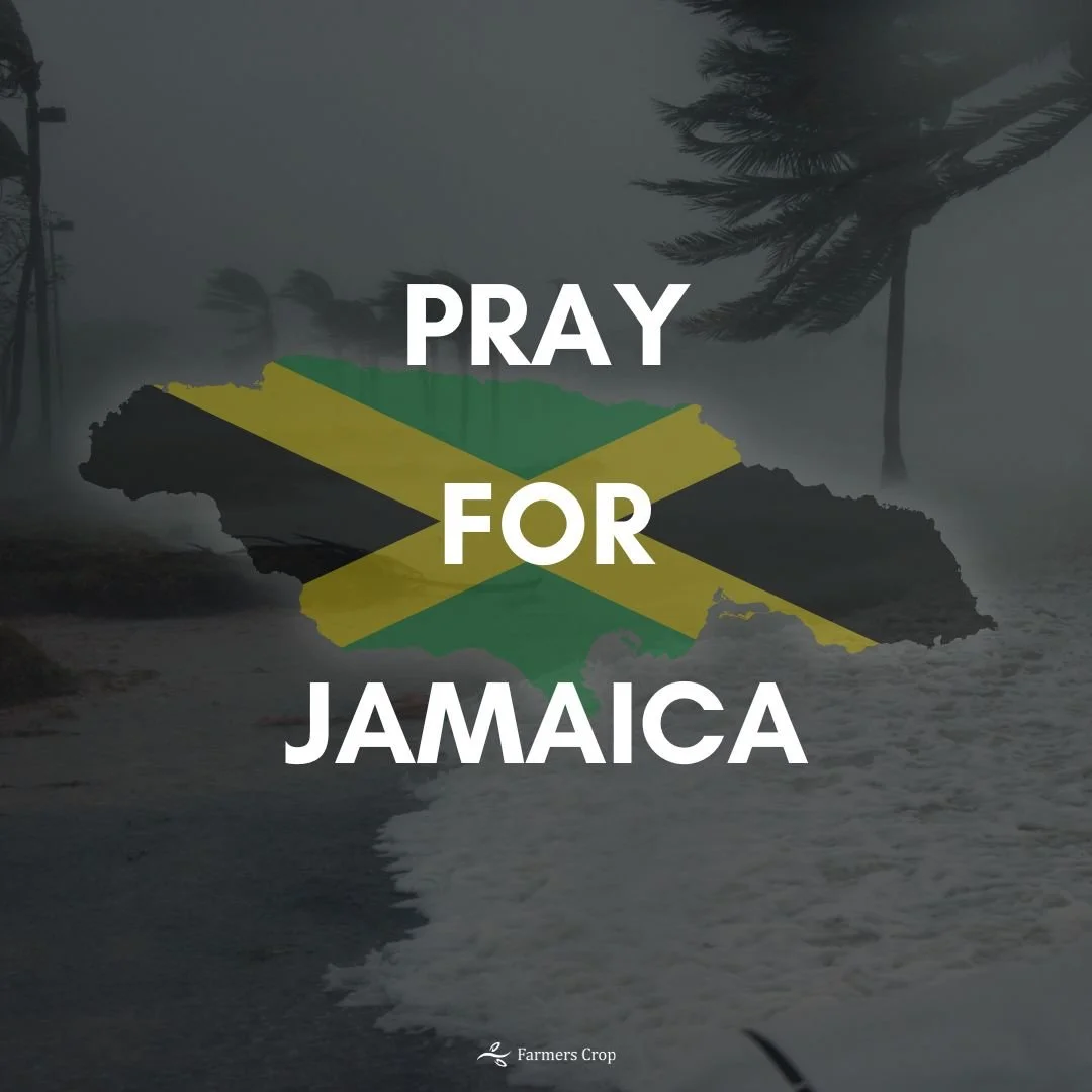 We're keeping everyone in Jamaica in our thoughts and prayers, especially the agricultural producers of the island who have been expecting high yields and great produce this season. 

http://bit.ly/4nrxtRF