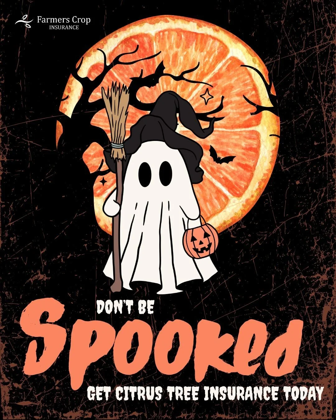 You won't be spooked this season when your trees are covered by Farmers Crop Insurance and a Texas Citrus Tree Policy. 

Save yourself from fright and call us today: 
Harlingen: 956.421.4247