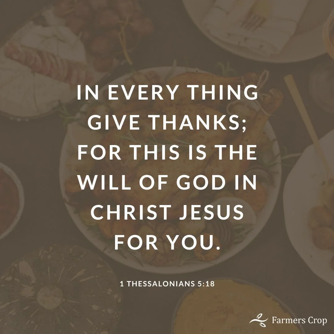 In everything give thanks; for this is the will of God in Christ Jesus for you.

1 Thessalonians 5:18
