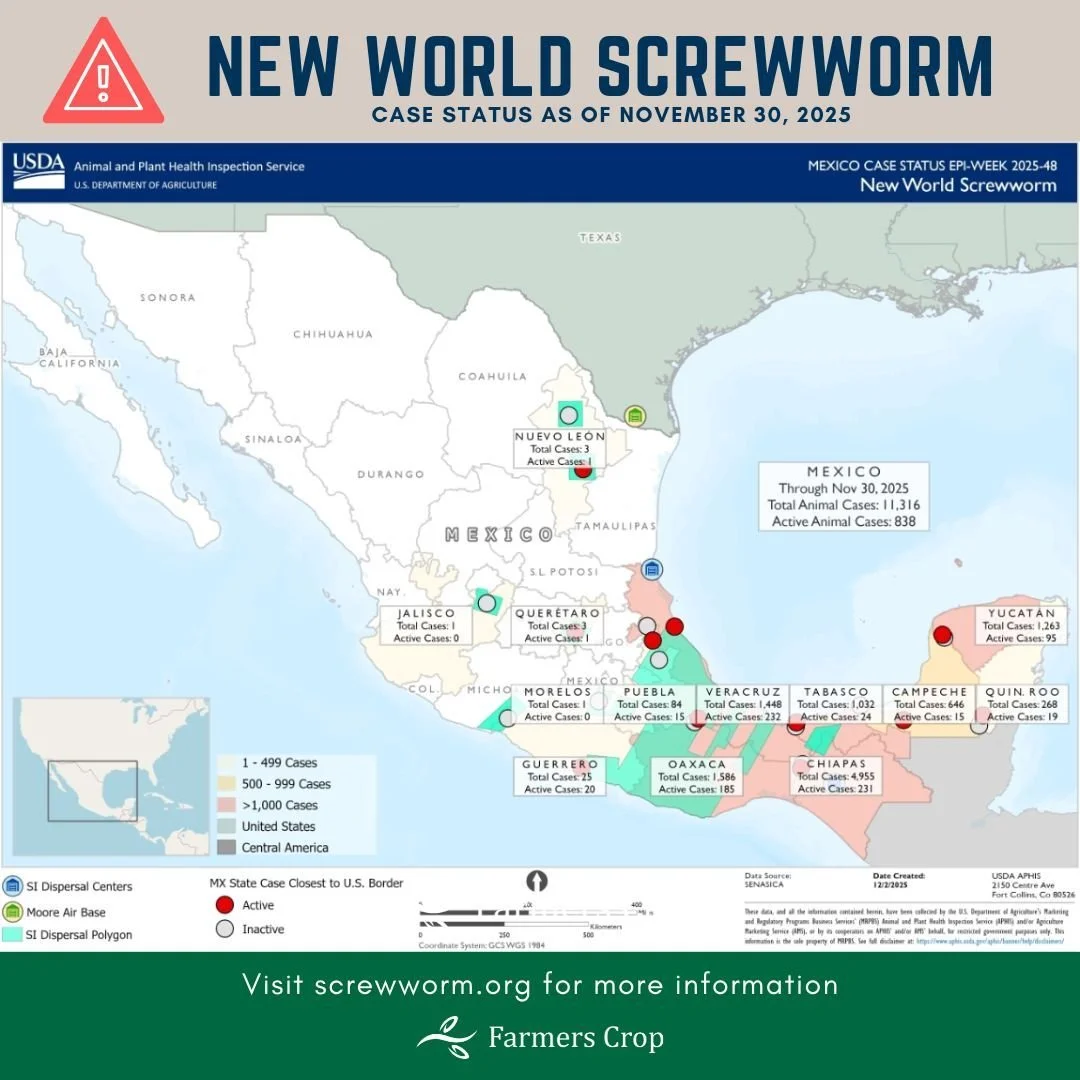 USDA launched a new unified New World screwworm (NWS) website, screwworm.gov. Visit today to stay on top of it's spread, treatment options, and to report a case.