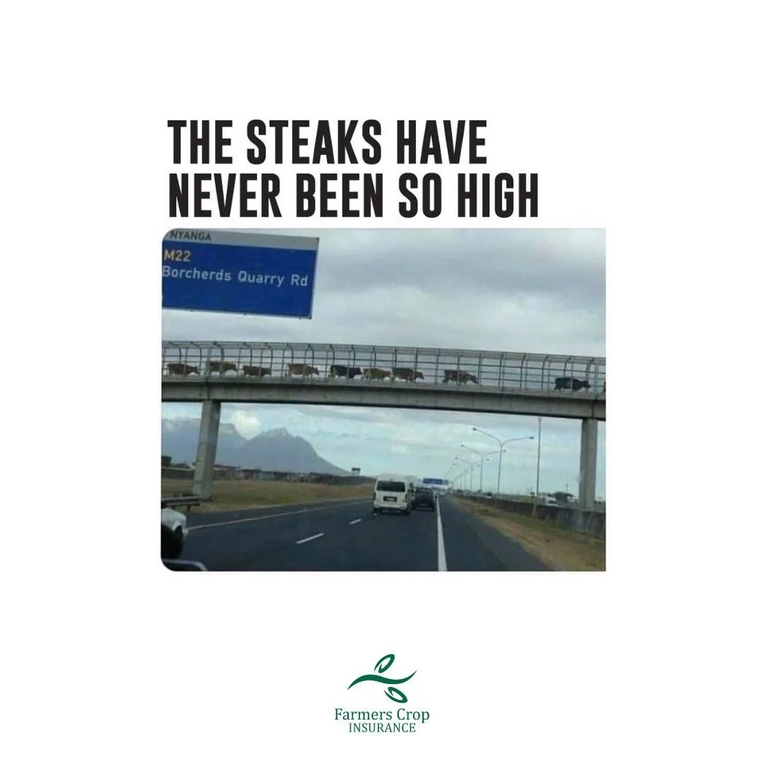 The steaks have never been so high.