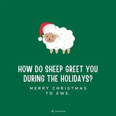 Merry Christmas to EWE and yours.