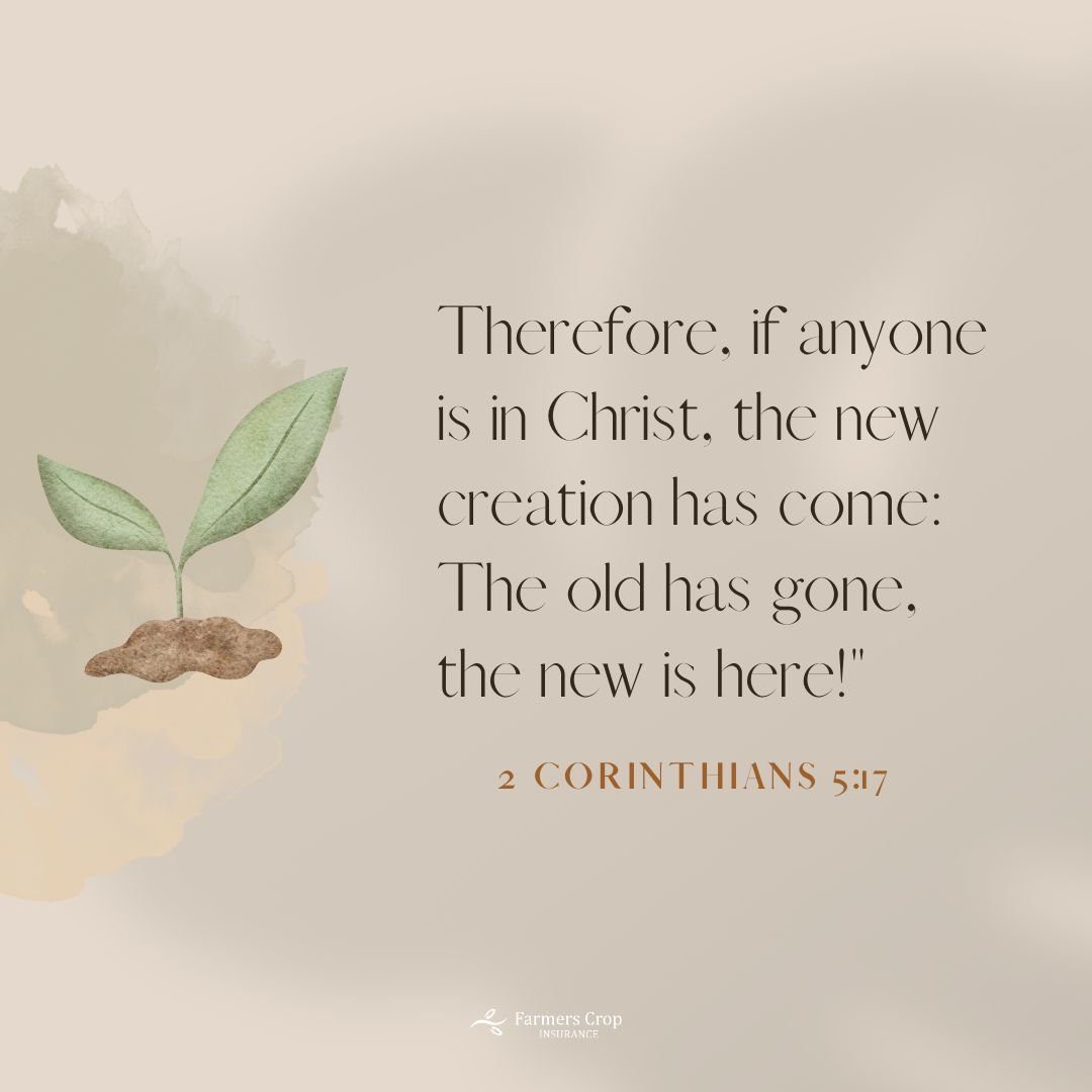 Therefore, if anyone is in Christ, the new creation has come: The old has gone, the new is here!

2 Corinthians 5:17