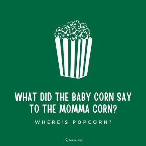 What did the baby corn say to the momma corn???