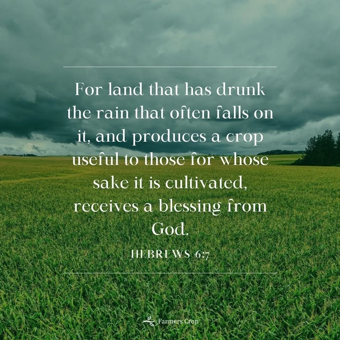 Please join us in prayer for rain.