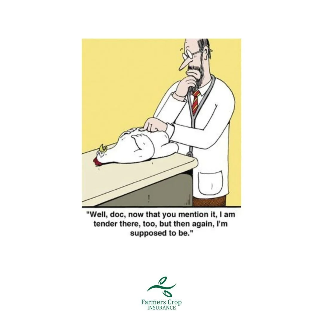 We like our chicken tender.