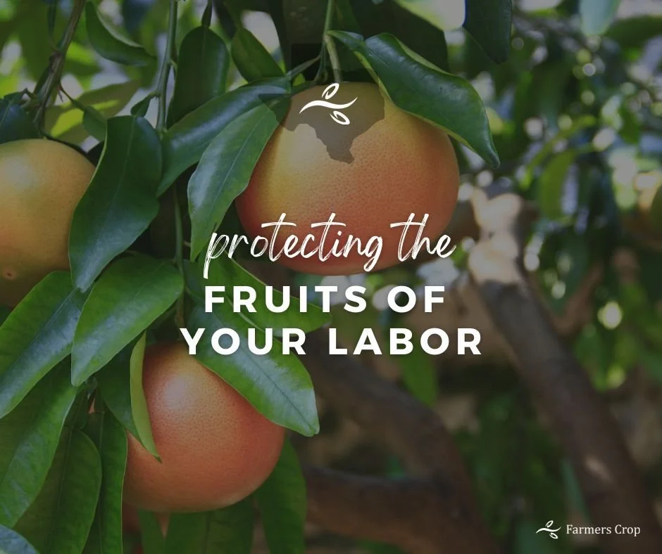 Our job is to help protect the fruits of your labor.