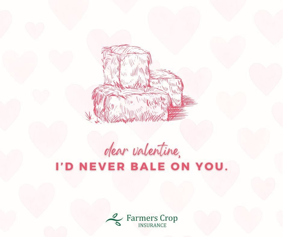 Farmers Crop will never bale on you.