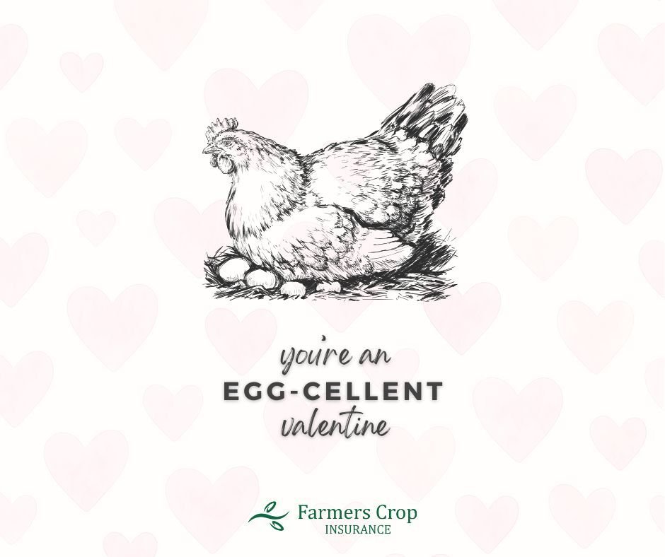 We work with some of the best in the business, our farmers are EGG-cellent.