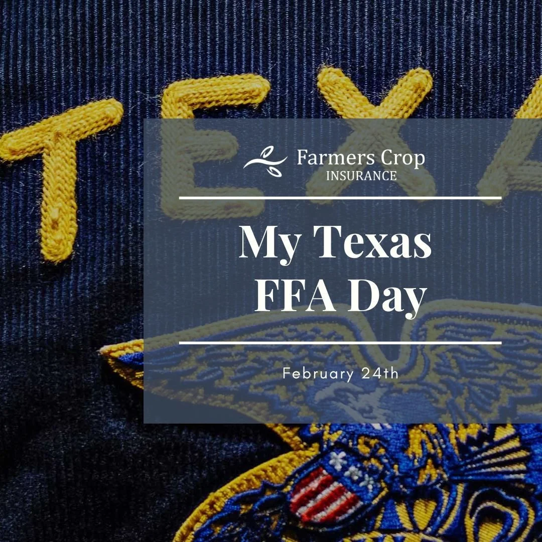 Today is My Texas FFA day! 

Many of us are familiar with FFA and were members, but not everyone knows about the organization. 

What is FFA? Texas FFA gives students the opportunity to apply practical classroom knowledge to real-world experiences th