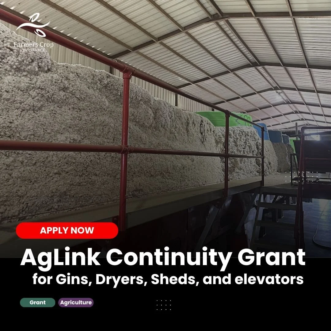 The purpose of the AgLink Continuity Grant (AgLink) will focus on assisting certain agriculture facilities/operations that perform key services linking raw commodities to additional processing facilities. Facilities such as gins, grain warehouses, an