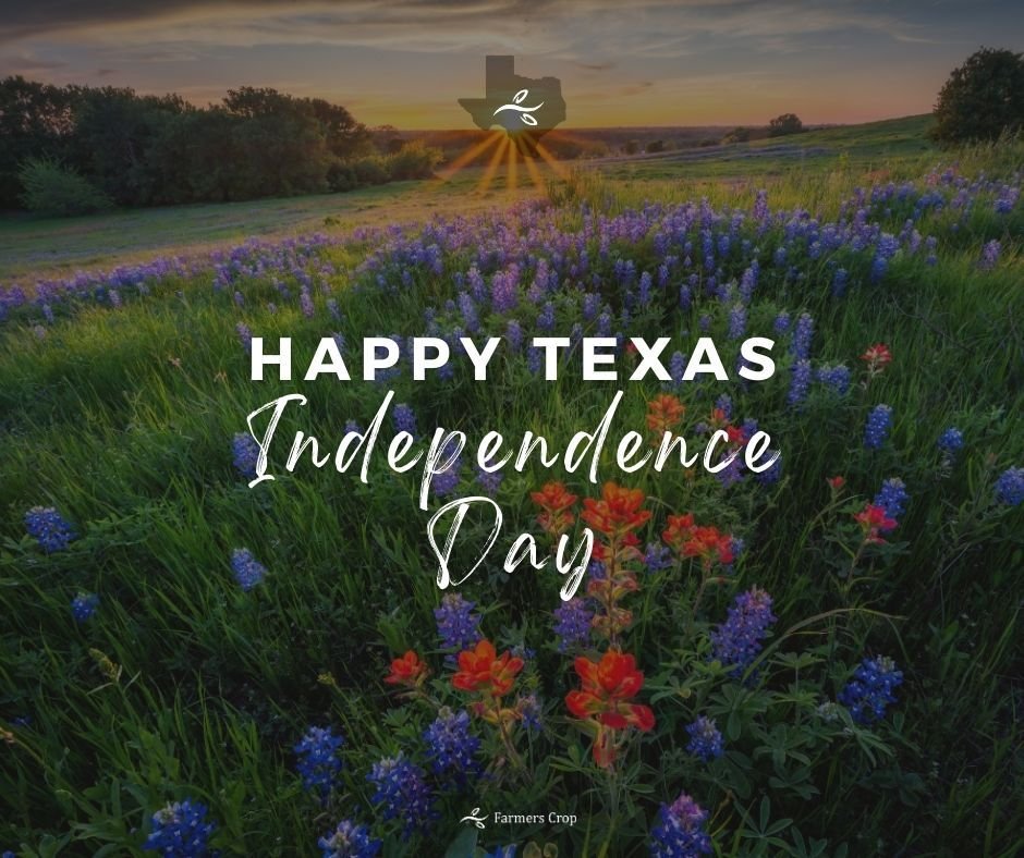 Happy Texas Independence Day &mdash; March 2nd!
On this day in 1836, Texas declared its independence and chose liberty, self-governance, and courage over submission. The spirit of 1836 still lives on in the hearts of Texans who value freedom and resp