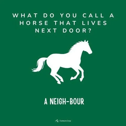 Love our NEIGH-bors!
