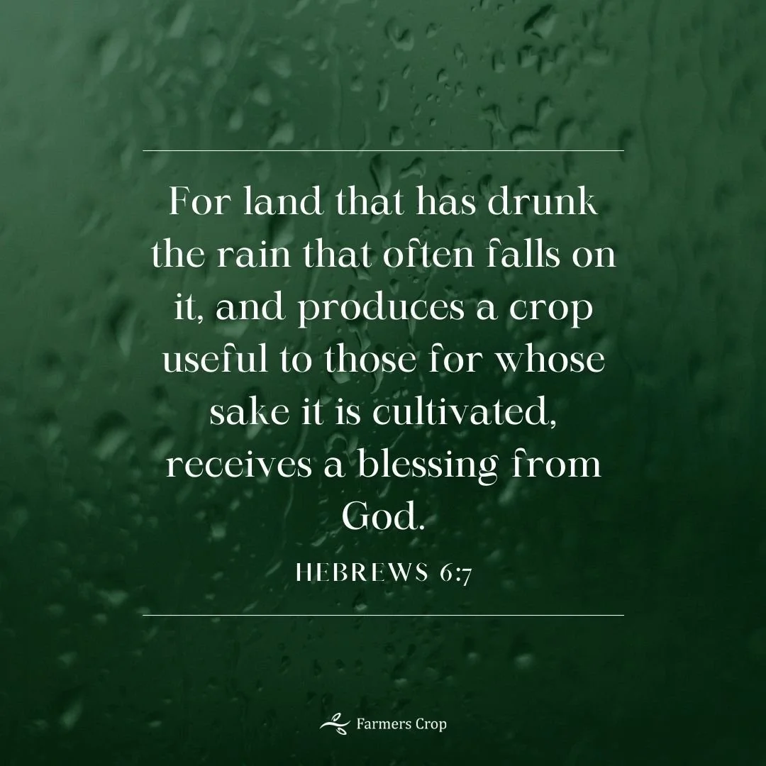 Prayers for rain.