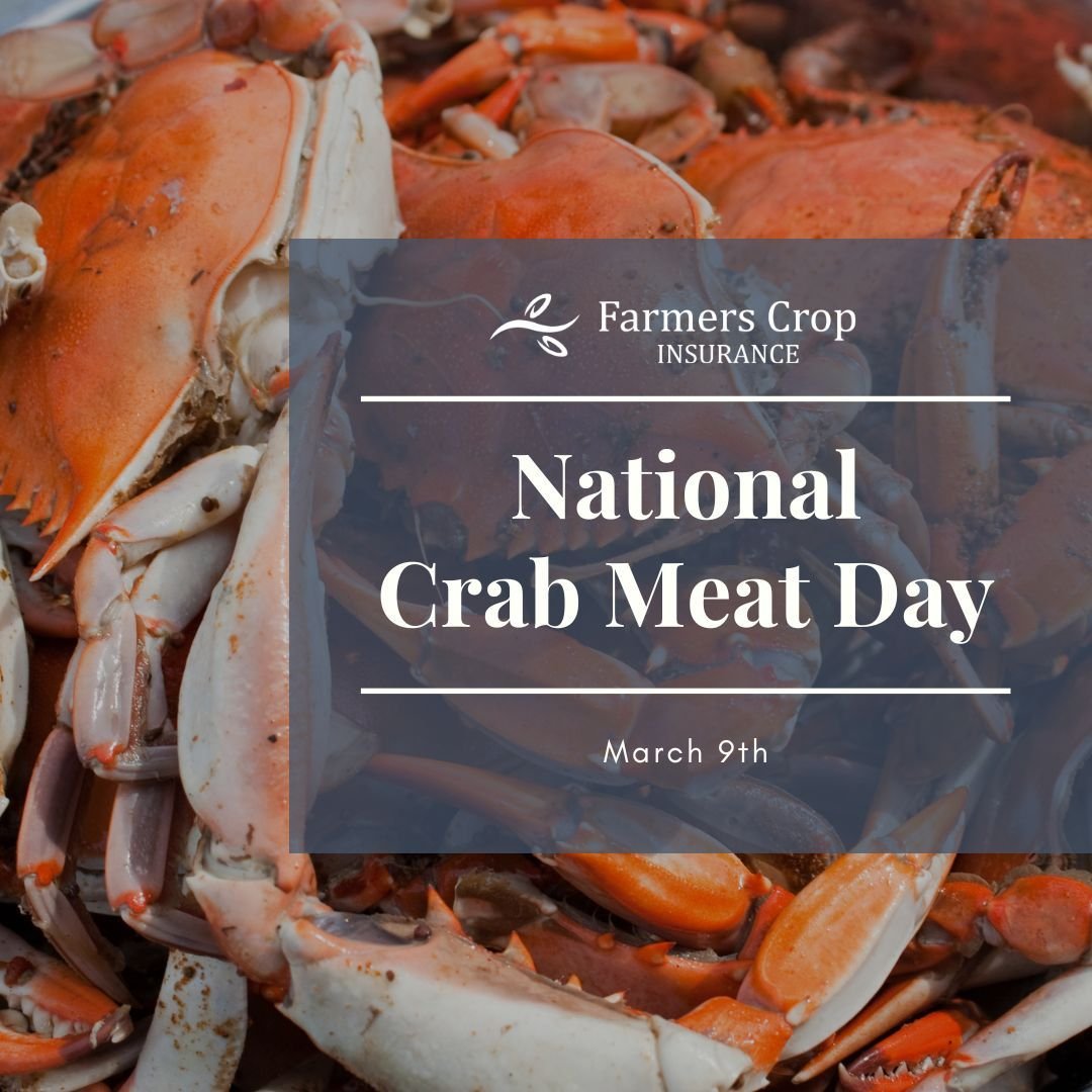 For Texas living on the Gulf Coast, nothing beats a blue crab boil when you harvested them yourself! Happy National Crab Meat Day!