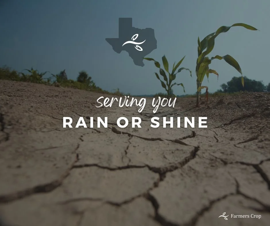 At Farmers Crop we're here to serve you, rain or shine. 

Have questions? Call us: 

HARLINGEN:
P: 956.421.4247 

VICTORIA:
P: 361.897.0144