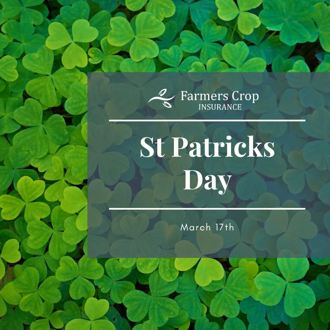 Check out some of the Ag Facts related to Saint Patrick&rsquo;s Day courtesy of AgHires.com:

- 13 Million Pints of Guinness, the unofficial beer of the holiday, will be consumed during St. Patrick's Day
- Over 165 million tons of barley, the main in