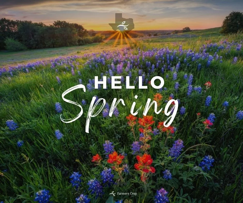 Welcoming a new season brings hope for a new tomorrow. 

We welcome any spring showers that might come our way too.